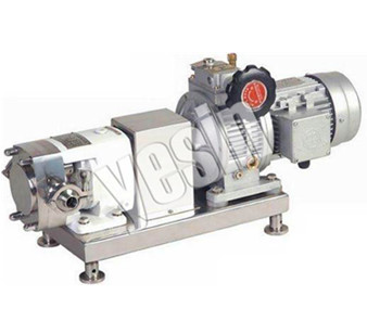 無級(jí)調(diào)速轉(zhuǎn)子泵